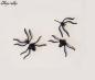 Preview: schaurige Langbein Spinne Ohrstecker